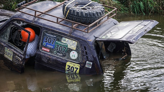 他不仅代表 他不仅代表