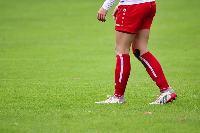 养的结果 养的结果