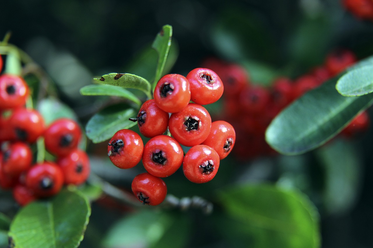 这样的案例 这样的案例