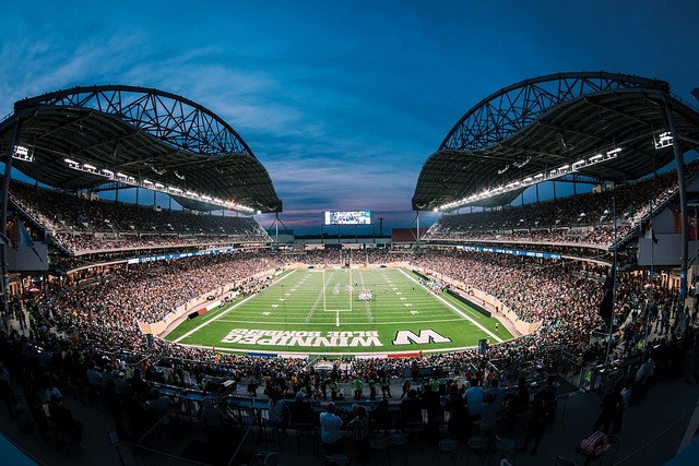 质也许过于 质也许过于