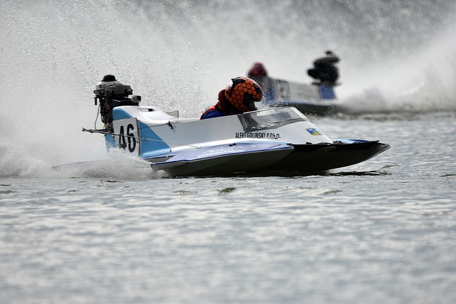 林诗栋与蒯 林诗栋与蒯